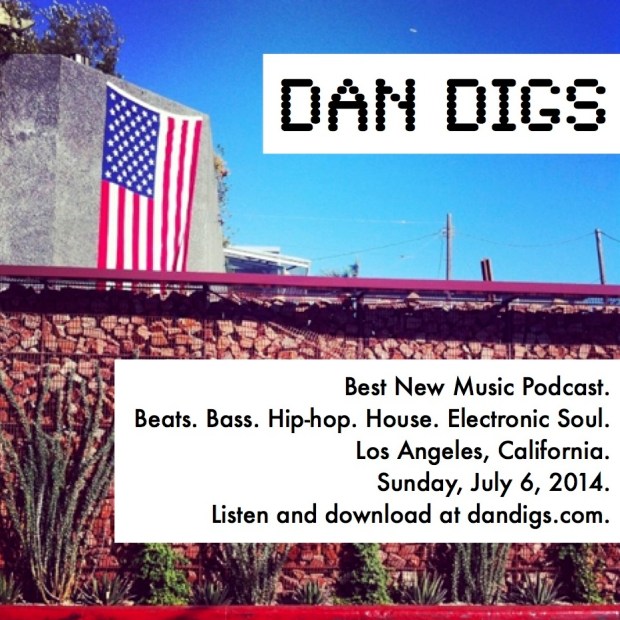 dandigs.com